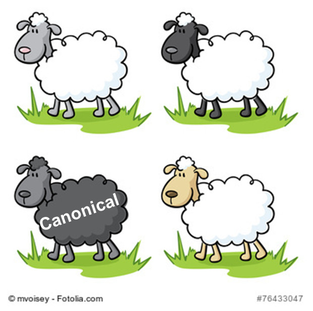 Canonical