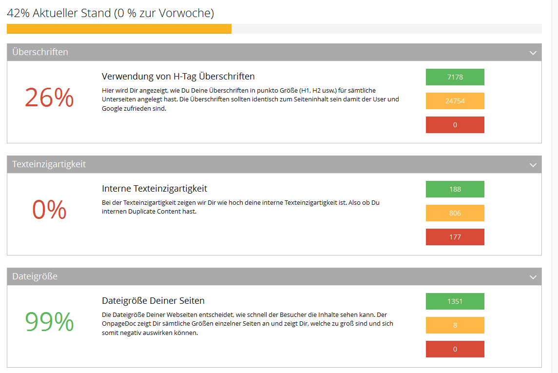 Detail-Dashboard von OnpageDoc