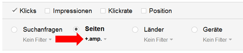 Google Search Console: AMP-Filter