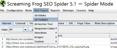 Screaming Frog: Outgoing Links