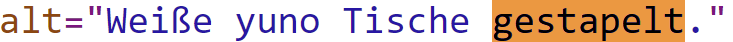 Alt-Text, der von Google für eine Description verwendet wird