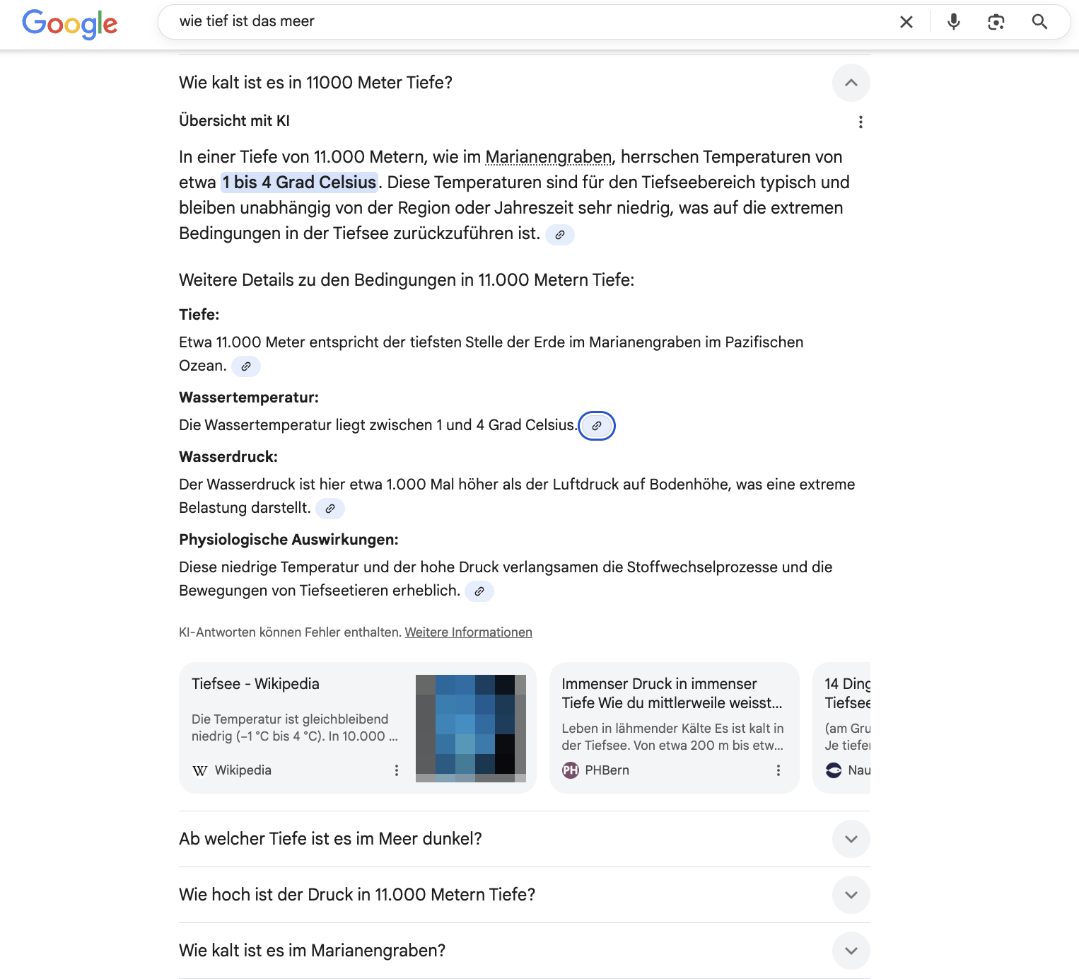 Google AI Overviews in 'Weitere Fragen'