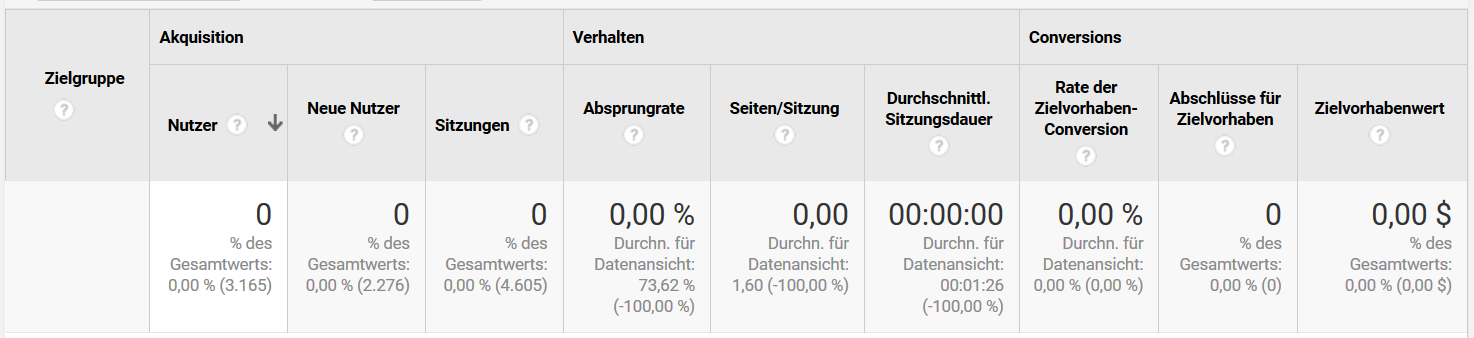 Google Analytics: Beispiel für Zielgruppenreport