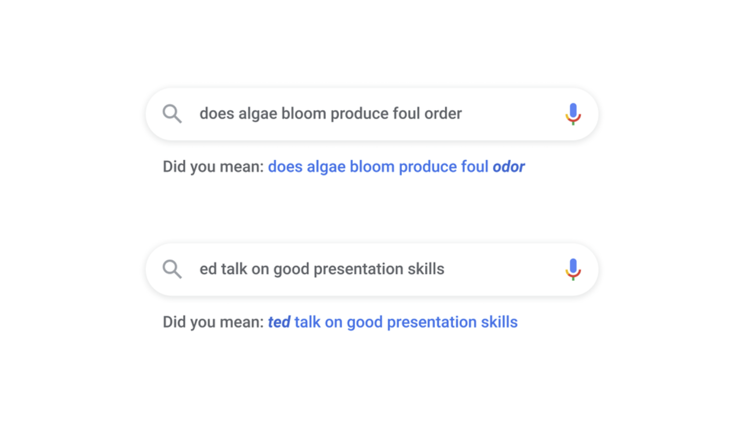 Google erkennt Rechtschreibfehler in Suchanfragen