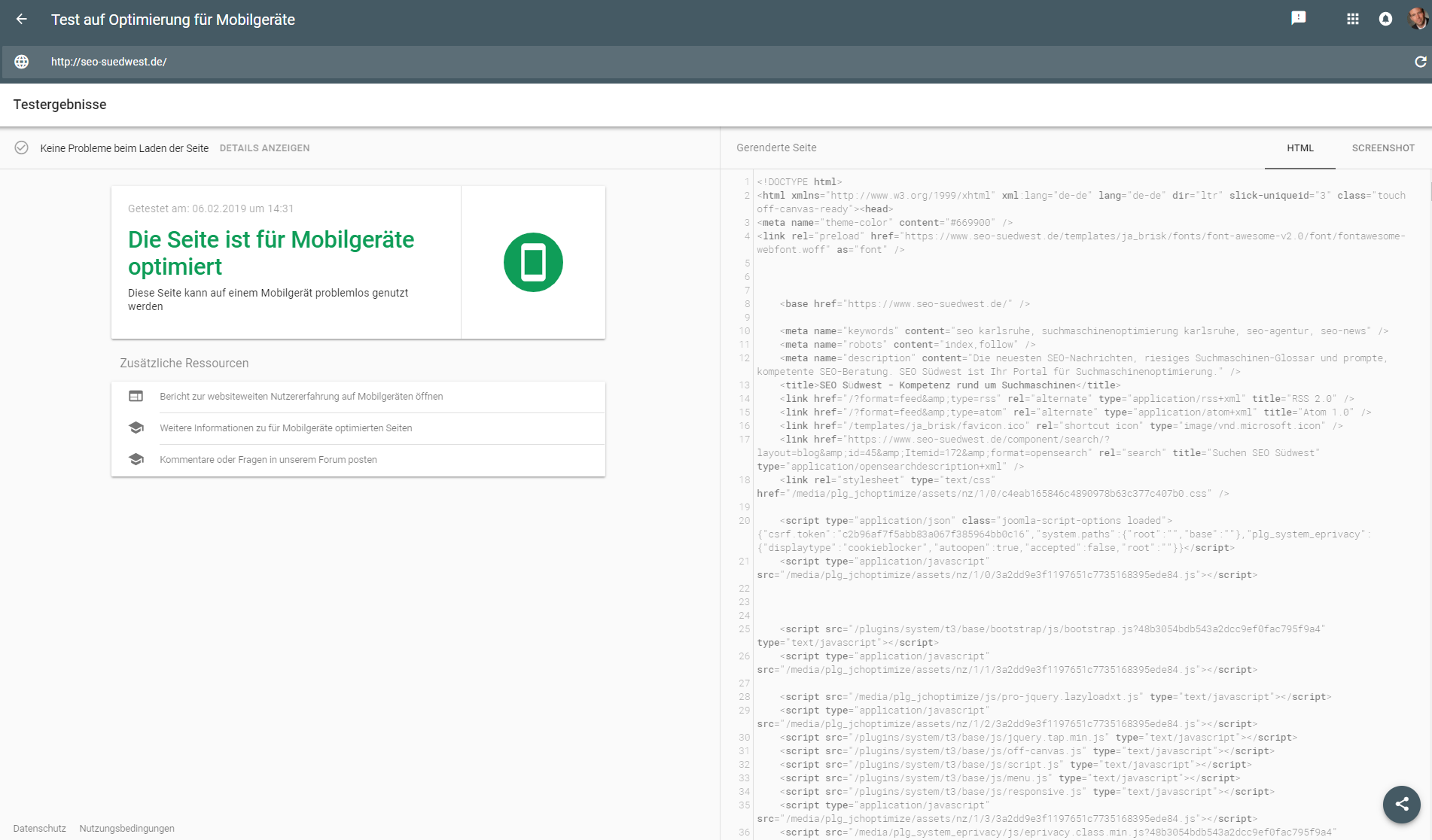 Google Mobile Friendly Test: gerendertes HTML
