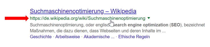 Google-Snippet mit URL