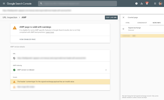 Google Search Console: Probleme mit SXG im URL Inspection Tool