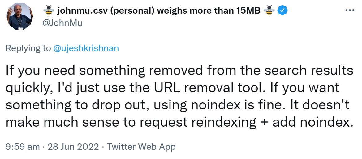 Google: Verwendung von 'noindex' in Kombination mit einer Anfrage zum erneuten Indexieren ist wenig sinnvoll