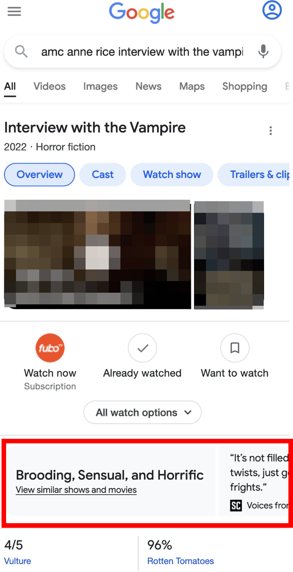 Google: 'Description Karussell' für Videos