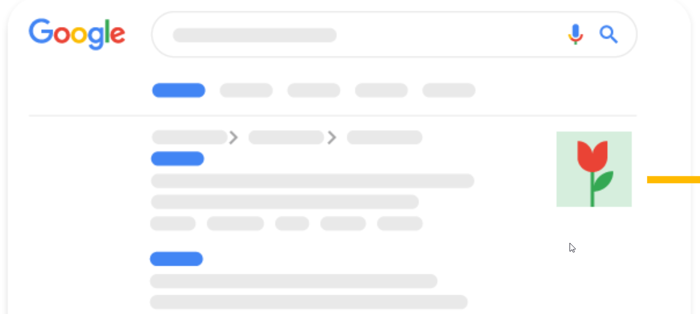 Google Suche-Feature