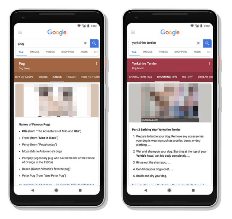 Google: Topic Layer im Knowledge Panel