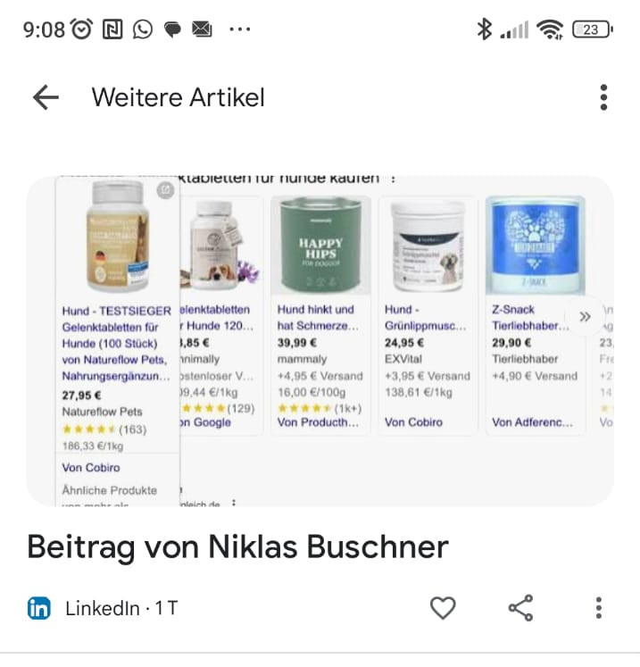 LinkedIn Post auf Google Discover