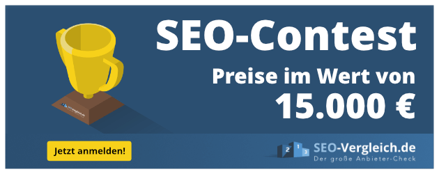 SEO-Contest 2020