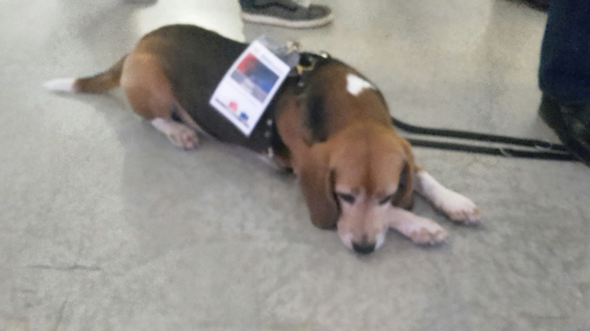 SEOkomm: verdiente Pause