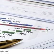 Internationales Projektmanagement - Kriterien und Herausforderungen