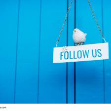 Mit dem Newsletter von SEO Südwest auf dem Laufenden bleiben